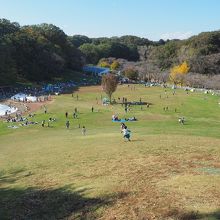 ピクニック広場