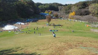 広大な子供の遊び場　こどもの国