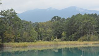 磐梯山の噴火によってできた沼は季節や天気によって色が変わって見えます。