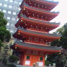 街中のお寺のため、塔の背後がビルなのはやや興ざめ