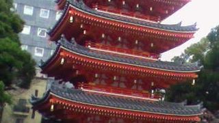 新築ですが実に見事な造りで、お参りの後にじっくり見ていくのにオススメ