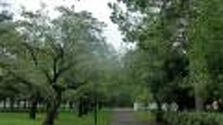 秋の紅葉落葉始まる