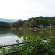 大きな池のある公園