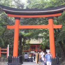 本殿側からならきれいに撮れます