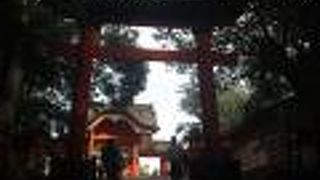 宇佐神宮を代表する華麗な門