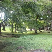 昔あった壮大なお寺の跡。弥勒菩薩は表参道入口の極楽寺にあります。