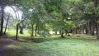 昔あった壮大なお寺の跡。弥勒菩薩は表参道入口の極楽寺にあります。