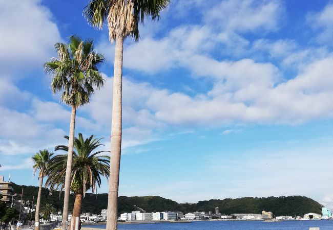 久里浜海岸 クチコミ アクセス 営業時間 横須賀 フォートラベル
