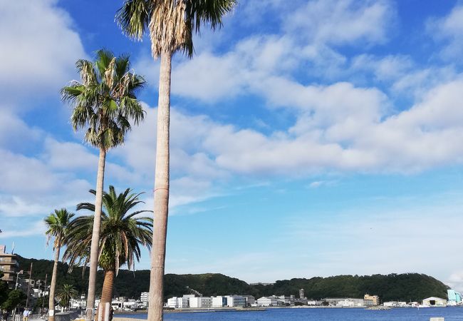久里浜海岸 クチコミ アクセス 営業時間 横須賀 フォートラベル 久里浜海岸 クチコミ アクセス 営業時間 横須賀 フォートラベル