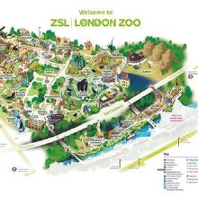 ロンドン動物園-2020年