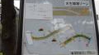 舎人ライナーの終点