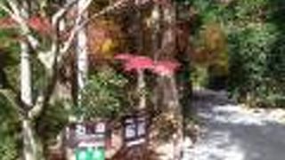 敷地内の紅葉がきれいでした。