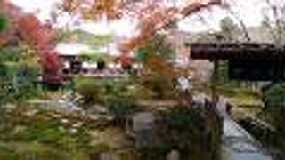 おいしい豆腐料理がおすすめ