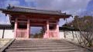 最高にきれいな景色でした。