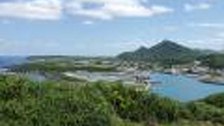 西側半分が見えます