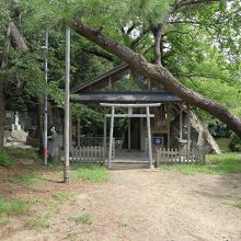 池のほとりに「徳川神社」