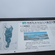 スコトン岬とゴロタ岬の間の「江戸屋山道」にある、北東向きの高台展望台です。