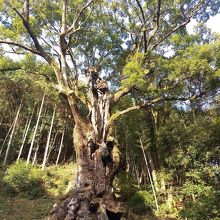 パワースポット