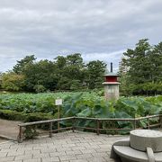 素晴らしい公園