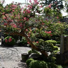 城内の庭園