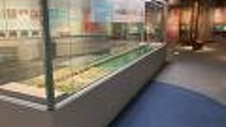 新潟の歴史が分かります