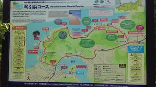 綺麗な砂浜です