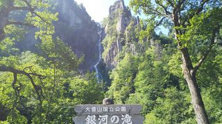 その美しさは優美です。