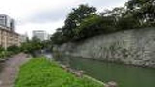 緑の多い憩いの場所。