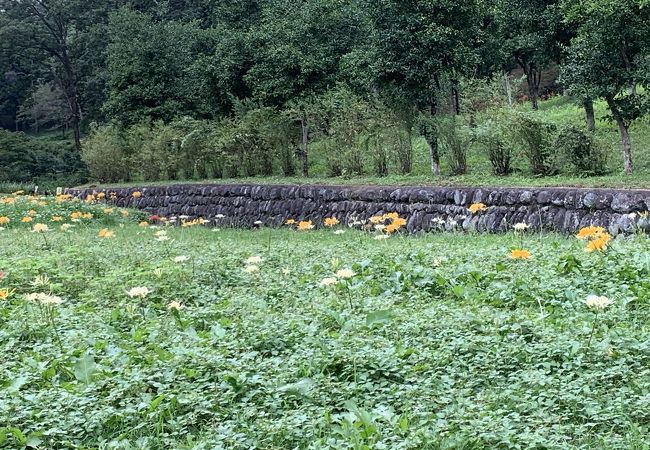 霞丘陵自然公園 クチコミ アクセス 営業時間 青梅 フォートラベル