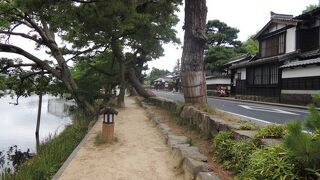 雰囲気が良い散策路