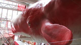 上に観覧車があるビルです