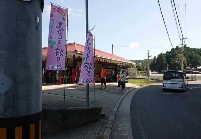 青蓮寺湖観光村いちご狩り