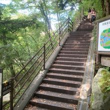 急な階段があるので、ベビーカー、車椅子では行けません。