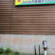 うに剥き体験：活きたうにを自分で殻を割り、身を取り出し、最後に食べられます。