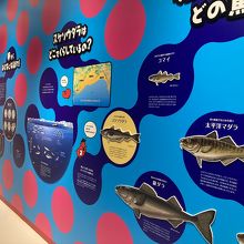 ミュージアムゾーン