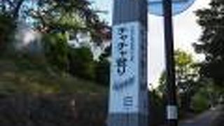 チョコット上りました