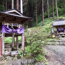 ミステリアスな雰囲気の境内。