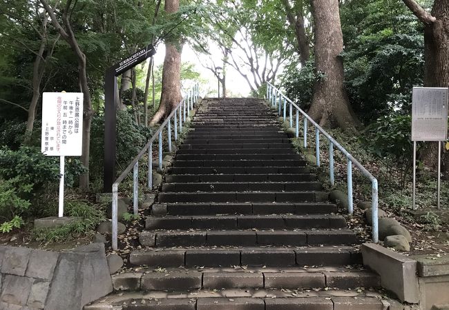 摺鉢山古墳 クチコミ アクセス 営業時間 上野 御徒町 フォートラベル