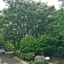 都内でキャンプができる穴場的公園