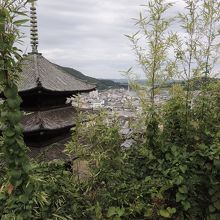 草が伸びすぎでしょう