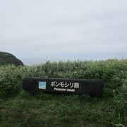 「小さい島」を意味するアイヌ語のポンモシリ島の見える海岸