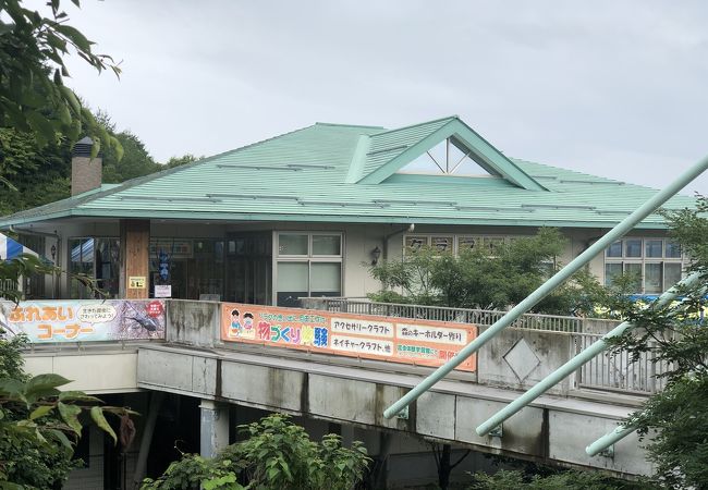 山の上にはカブトムシドームもあります