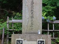 近藤勇の墓（天寧寺）