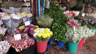 花がいっぱい！