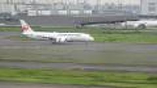 昼より夜に見たほうが絶対いい！！