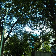 グリーンベルト