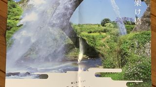 入館料大人310円