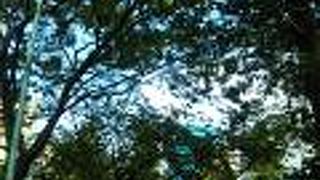 都会のオアシス