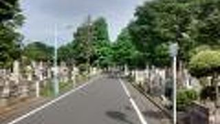 著名人の墓も多い