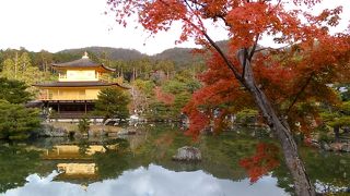 金色の金閣寺と見事な紅葉が、池面に反射する風景は、最高の絶景